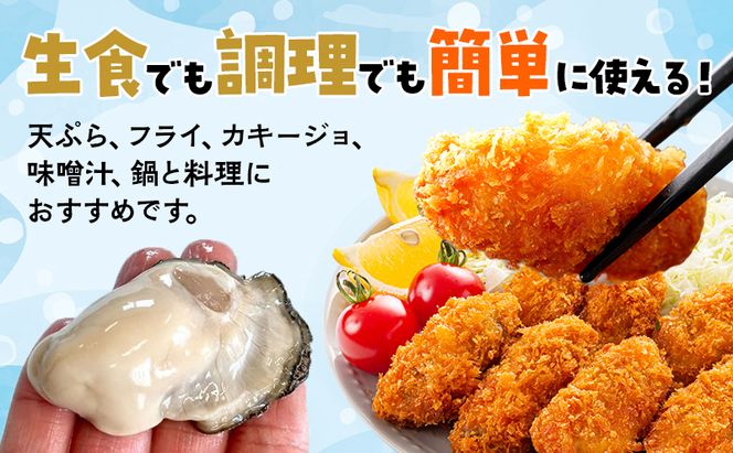 【 6ヵ月 定期便 】 北海道 厚岸産 ちょびっと 牡蠣 むいちゃいました！ ( 生食用 ) 300g カキ むき身 