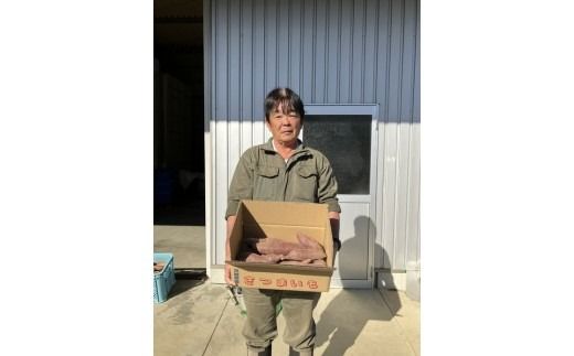 さつまいも（シルクスイート）5kg｜茨城県常総市産 さつまいも サツマイモ お芋 芋 スイーツ ポテト  有機栽培　野菜　国産 ※2025年12月中旬～2026年3月中旬頃に順次発送予定