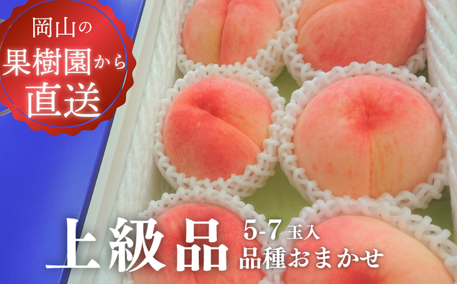 旬採り桃(品種おまかせ) 上級品 5-7玉 (岡山県産) / もも 桃 モモ 先行予約 フルーツ 果物 真庭市 フルーツ王国 きよとう果樹園 岡山 【KF-A002-04】