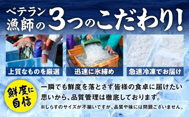 G4021 減塩 釜揚げしらす 600g×全6回【定期便 小分け シラス しらす sirasu 海鮮 人気 おすすめ 産地直送】