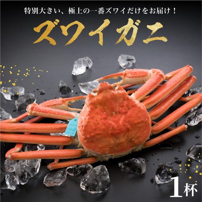 【姫丸のプレミアム蟹】11-12月配送 1番ズワイ 茹で上げ後約1.1kg以上× 1杯