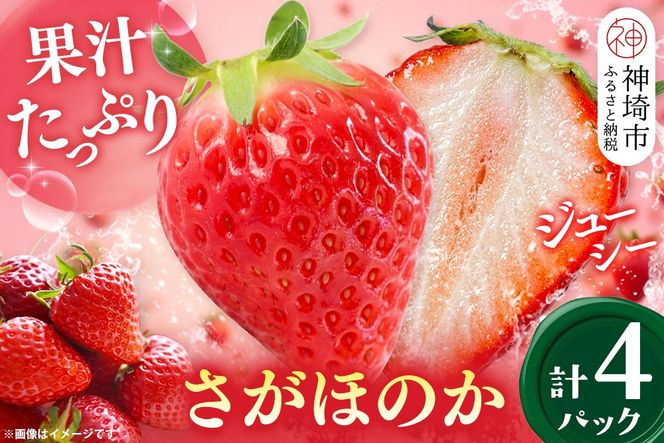 【2027年1月中旬より発送開始】さがほのか4パック【果物 くだもの フルーツ いちご イチゴ 苺 佐賀】(H116134)