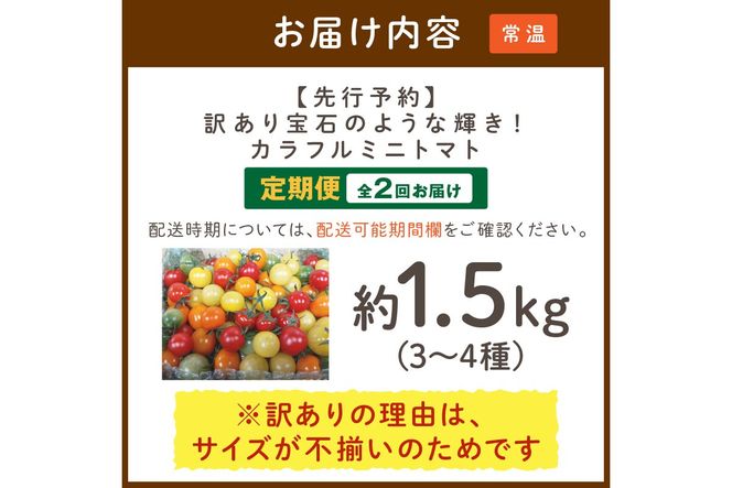【2回定期便】京丹後産 訳あり 宝石のような輝き！カラフルミニトマト（2026年5月下旬～発送）　MY00015