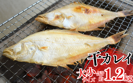 【干物 干カレイセット 合計1.2kg以上（大5～8枚 約600g、小11～15枚 約600g）香住産 冷凍】身の厚い大きめのカレイ、少し小ぶりのカレイセットです。焼きたてに淡口醤油をひとかけすると香りよく食せます。南蛮漬もおススメ。絶妙の塩加減 大人気 ふるさと納税 送料無料 唐揚げ お酒のお供 日本海 香住港 柴山港 兵庫県 香美町 香住 柴山 宿院商店 33-13