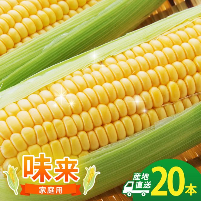 とうもろこし 味来 家庭用 20本 訳アリ トウモロコシ 宮城県産 甘い 夏 朝採れ 訳あり 産地直送 宮城県 大河原町