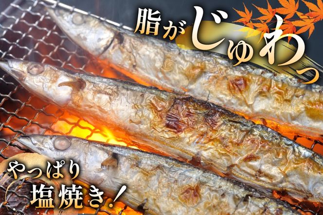 【期間限定発送】生 さんま 8尾 大サイズ [阿部長商店 宮城県 気仙沼市 20566343] 魚 サンマ 秋刀魚 生鮮 鮮魚 季節限定