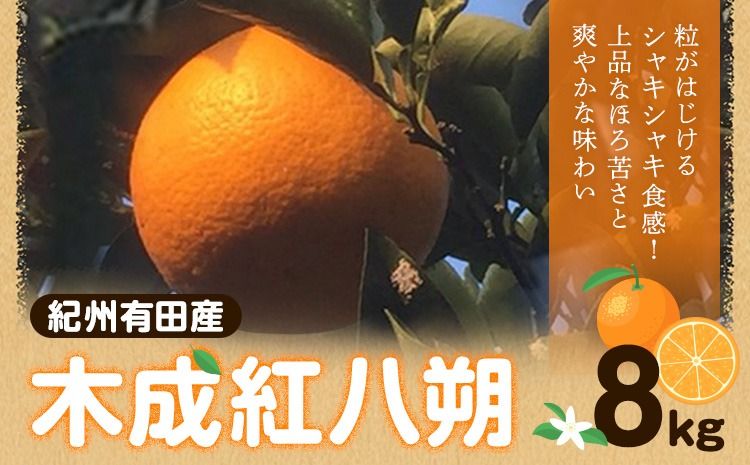 [先行予約]紀州和歌山産 木成紅八朔 8kg 株式会社魚鶴商店(大鶴商店)[2月下旬-3月中旬頃出荷]和歌山県 日高町 紀州和歌山産 木成紅八朔 はっさく ハッサク 八朔 紅八朔 柑橘 果物 フルーツ---wsh_uot235_2g3c_26_18000_8kg---