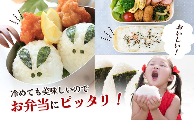 【 小豆島 】令和6年産新米 小豆島太閤 コシヒカリ 精白米 10kg（5kg×2袋）  お米 米 小豆島産 香川 香川県 土庄 土庄町