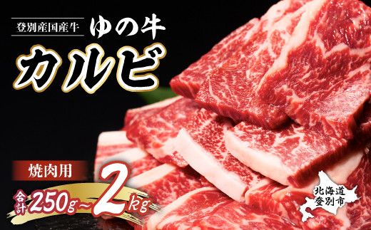 量が選べる！牛肉 北海道 焼肉 登別産 国産  手切り カルビ スライス 250g～2kg　登別産国産牛ブランド【登別牧場ゆの牛(うし)】