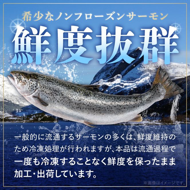 いっちゃんええ【ノンフローズン】生サーモン 全て手作業 約400g_FJ1000