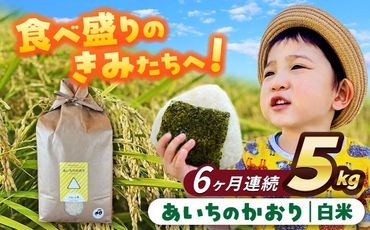 【6回定期便】あいちのかおり　白米　5kg　お米　ご飯　愛西市／株式会社戸倉トラクター[AECS005]