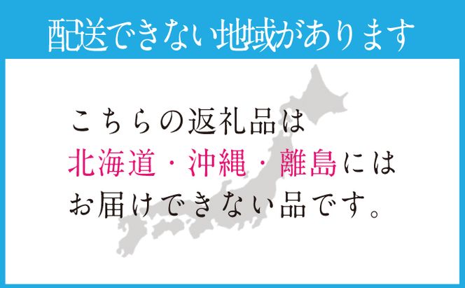 2026年 先行予約受付中【2回定期便】 シャインマスカット晴王 2房 約1.1kg 岡山県産 種無し 皮ごと食べる みずみずしい 甘い フレッシュ 瀬戸内 晴れの国 おかやま 果物大国 ハレノフルーツ