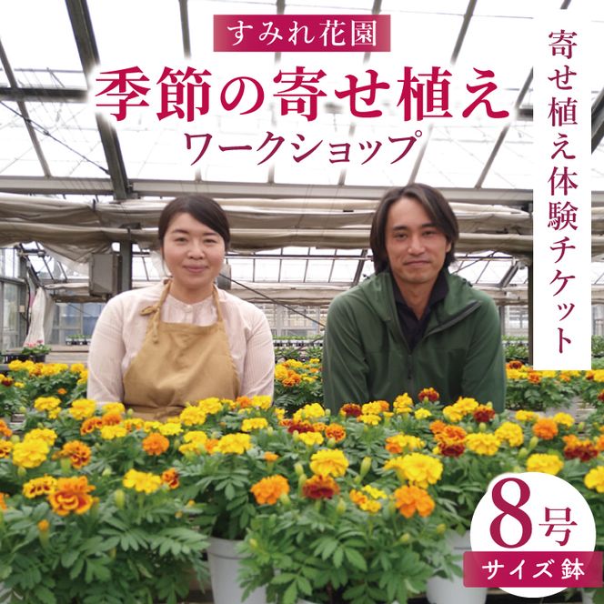 行方市の花農家「すみれ花園」季節の寄せ植えワークショップ(8号サイズ鉢)｜花 お花 季節の花 ワークショップ 体験 体験チケット ラーケーション ガーデンセラピー 寄せ植え 茨城県 行方市(EH-30)