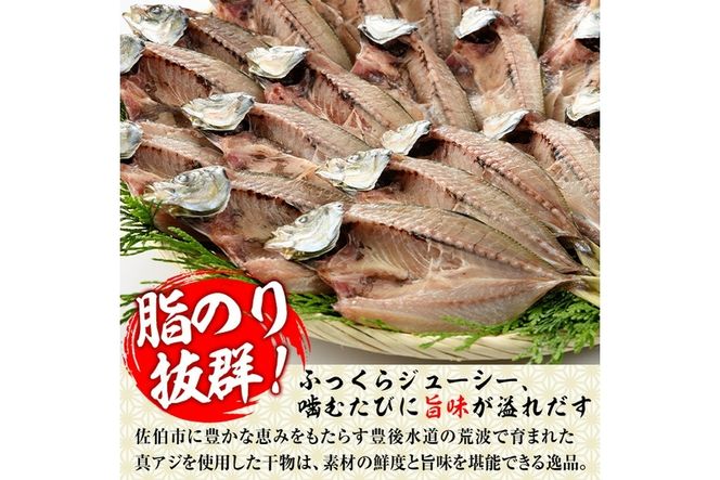 あじの開き(21枚)  魚 さかな 鯵 アジ おかず 肴 おつまみ 国産 大分県 佐伯市【GN011】【Ichihashi企画】