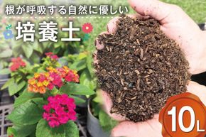 培養土 10L 1袋 [大地商会 宮崎県 日向市 452061025] 軽い ふかふか 植物 観葉植物 ガーデニング 園芸 家庭菜園 花 培養 土 鉢植え キッチンガーデン 花壇 畑