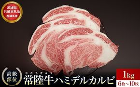 【茨城県共通返礼品】茨城県産 ハミデルカルビ1㎏