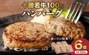 十勝若牛100％使用！十勝若牛ハンバーグ 100g×6個_S003-0001