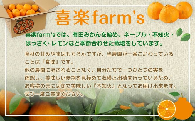 【産地直送】☆不知火☆家庭用☆約10kg  	AL09