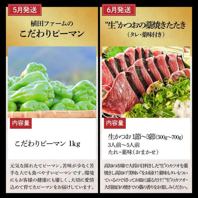 【全12回定期便】土佐市まるごと贅沢定期コース / トイレットペーパー 藁焼き うつぼ 生かつお 鰹 たたき 土佐文旦 メロン しんちゃんトマト ピーマン アイス くずバー ネギトロ かつおめし 日本酒 高知県 土佐市【土佐市】[BQCD015]