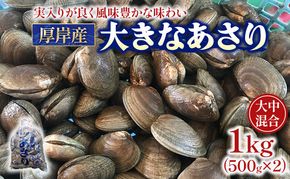 北海道 厚岸産 あさり 500g×2パック (合計1kg) 大中混合 アサリ 魚貝 海 美味しい 栄養 旨み 砂出し 水洗い 冷蔵 冷凍保存可能 便利