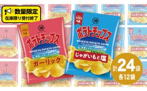 湖池屋 ポテトチップス 2種類アソート （じゃがいもと塩・ガーリック）（各12袋・計24袋） ポテチ お菓子 おかし 大量 スナック おつまみ ジャガイモ じゃがいも まとめ買い スナック菓子 数量限定 [DA045us]