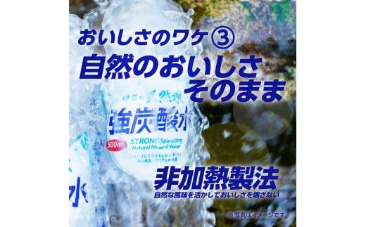 【2ヶ月定期便】サンガリア　伊賀の天然水　強炭酸水　1ケース（500mL×24本）【igge-tkb0001】