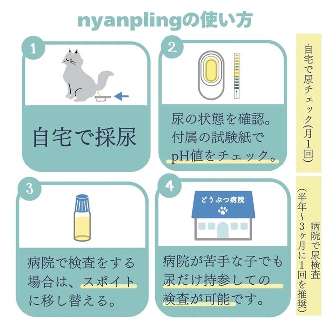 169-45-004 【スポイトｐH試験紙付】犬猫用おしっこチェックセット　×12個【 ペット用品 茨城県 日立市 】