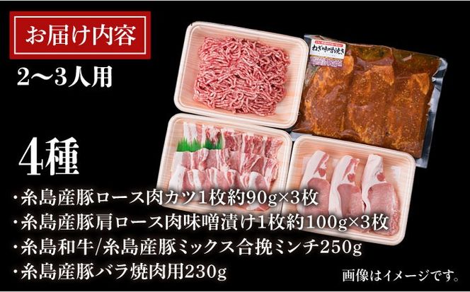 【使いやすい豚肉＆牛肉セット】毎日のメインのおかずを彩る 精肉 セット 4種 ( 約1kgg ) 2～3人前 4種 糸島市 / 糸島ミートデリ工房 [ACA200]