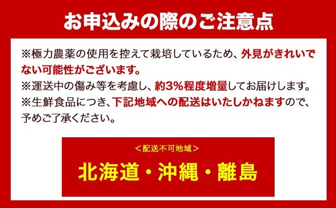 ＜先行予約＞厳選　大きな有田みかん2kg+120g（傷み補償分）【光センサー選果】 池田鹿蔵農園@日高町（池田農園株式会社）《11月中旬-2月中旬頃出荷》和歌山県 日高町【配送不可地域あり】---wsh_idn62_11c2c_24_8000_4kg---