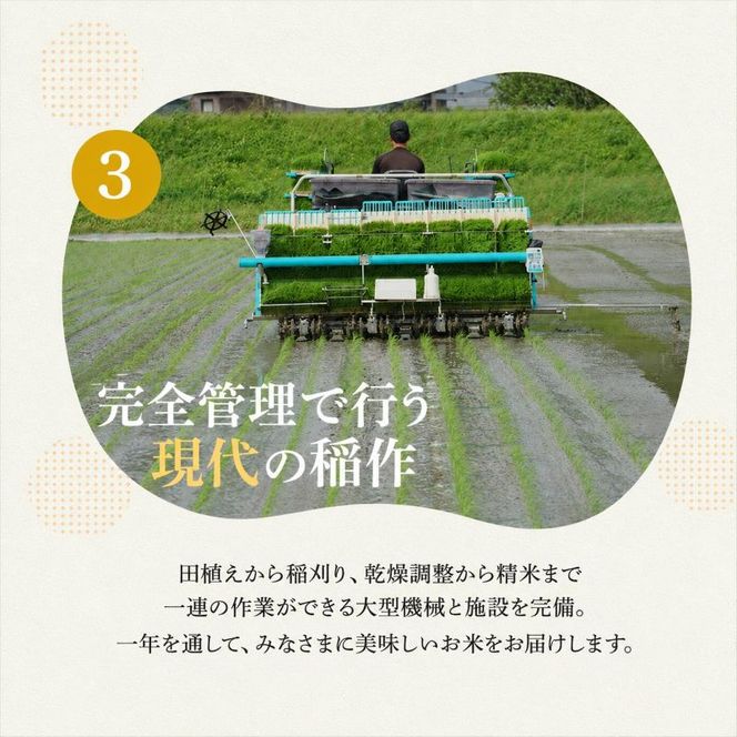 米 令和8年産 コシヒカリ 5kg 白米 精米 単一原料米 一等米 ブランド米 5キロ