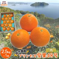 【先行予約】【数量限定】【秀】岡市農園！プリンセス愛果48号 約2.5kg ※離島への配送不可（2027年2月下旬より順次発送） IKTV011