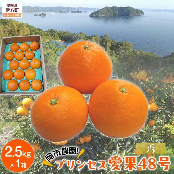 【先行予約】【数量限定】【秀】岡市農園！プリンセス愛果48号 約2.5kg ※離島への配送不可（2027年2月下旬より順次発送） IKTV011