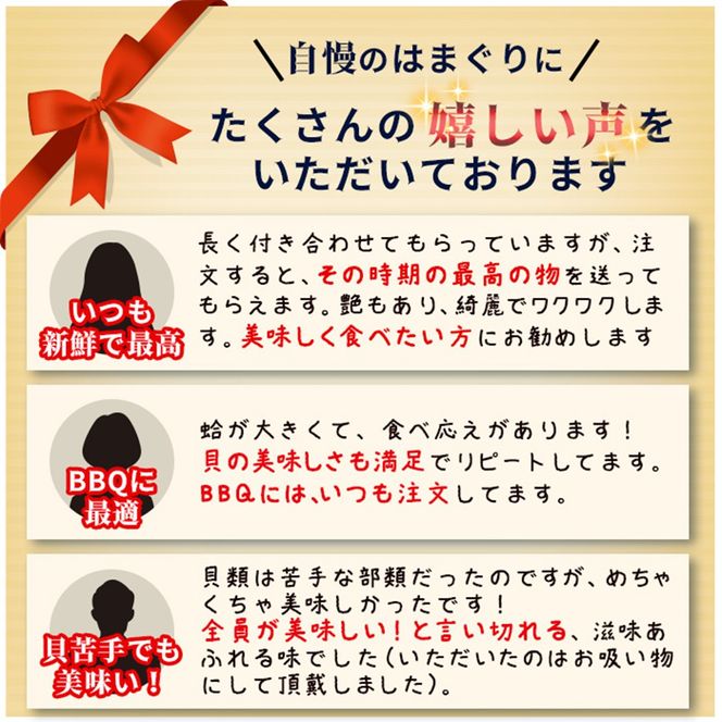 訳あり はまぐり 規格外 大はまぐり 10パック 計 4kg 貝 海鮮 魚介 海の幸 ハマグリ 蛤 海産物 国産 天然 産地直送 千葉県 九十九里 九十九里浜