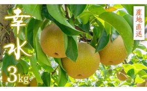 【 産地直送 】 幸水 3kg 先行予約 梨 フルーツ 果物 国産 日本産 梨 ナシ なし 和梨 [CZ006ci]