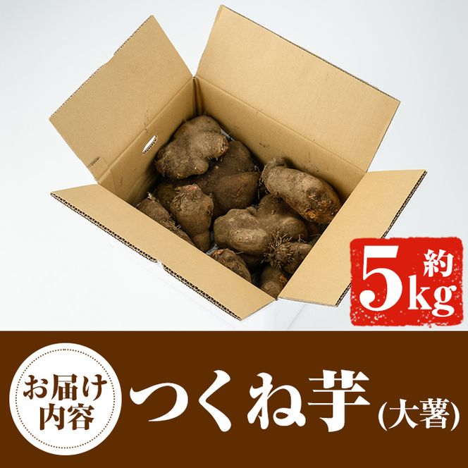 ＜先行予約受付中！2026年11月中旬以降順次発送予定＞つくね芋(大薯)(約5kg) 鹿児島県 阿久根市 つくね芋 大薯 だいじょ大和芋 山芋 とろろ【松永青果】akn053-12