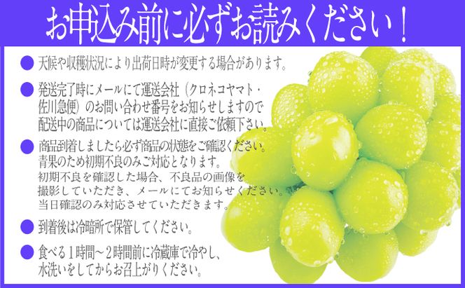 2026年予約受付中【3回定期便】シャインマスカット晴王1房 約700g 7月8月9月に出荷  人気 岡山県産 種無し 皮ごと食べる みずみずしい   おかやま 果物大国 ハレノフルーツ