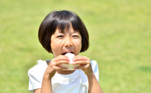 《先行予約》【兵庫県香美町産コシヒカリ】【令和8年産 「とろかわの恋（極）」 5kg（5kg×1）】《無洗米仕様》【令和8年10月中旬以降発送予定】 常温 香美町産 但馬堆肥米 お米 白米 精米 令和8年産 こしひかり コシヒカリ ふるさと納税 返礼品 おすすめ 兵庫県 香美町 香住 アグリクロード村岡 13-12