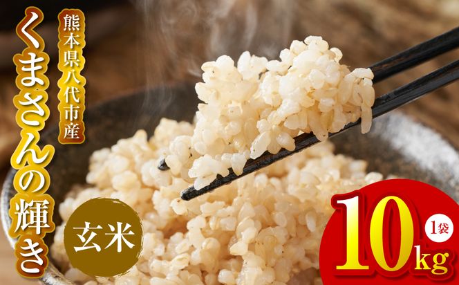 yF{szys\zsߘa7NYt ܂̋P  10kg F{ sY   Y y2025N11{菇z