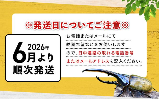 【先行予約】ヘラクレスオオカブト3令幼虫ペア ※育て方の説明書付き※配送不可地域あり【2026年6月から順次発送】 304018_CW003
