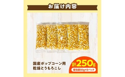 国産ポップコーン用（乾燥とうもろこし）　250g（個包装50g×5パック） 【 数量限定 期間限定 宮崎県産 ポップコーン 】[C07108]