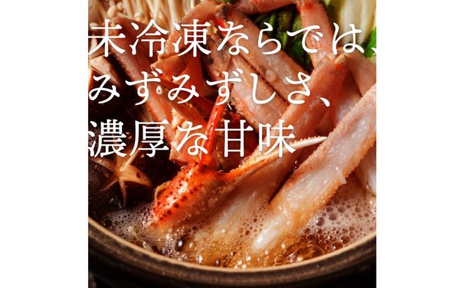 鳥取から直送！ 釜茹で 紅ズワイガニ1kg(2～3杯) 未冷凍【ボイル】 312011_FR001
