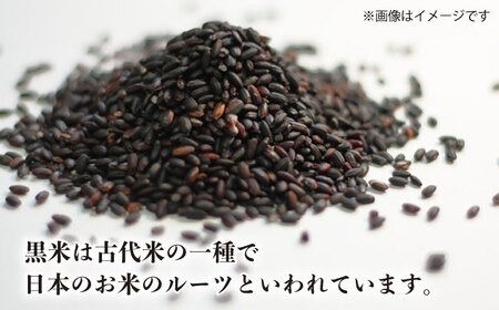 糸島産黒米 糸島市 / Carna [ALA054] 国産 お試し 送料無料 古代米 玄米 もち米 紫米 雑穀