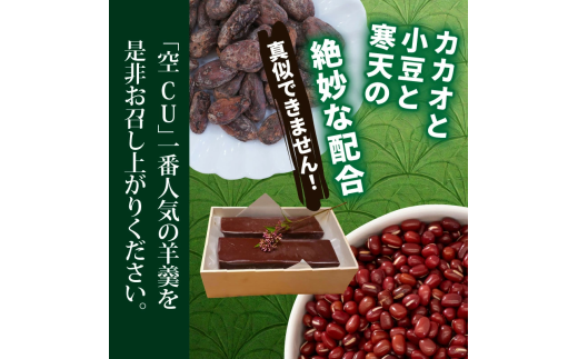 ショコラ羊羹 2本 チョコレート ようかん お茶うけ スイーツ デザート おやつ お菓子_2307R-2