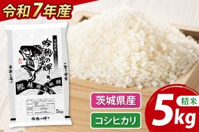 ＜令和７年産＞ コシヒカリ 5kg 精米 こしひかり 米 ごはん コメ お米 白米 国産 茨城県産