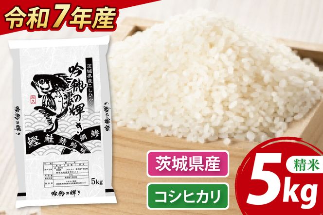 ＜令和７年産＞ コシヒカリ 5kg 精米 こしひかり 米 ごはん コメ お米 白米 国産 茨城県産