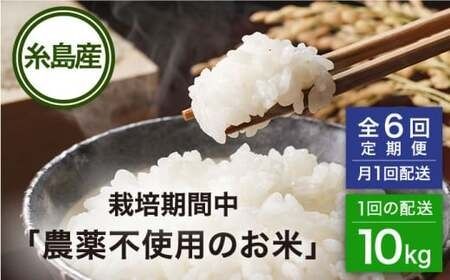 【全6回(月1回)定期便】栽培期間中 農薬不使用のお米 ヒノヒカリ 10kg 糸島市 シーブ [AHC045] 米 定期便