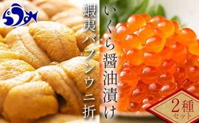【先行/2026年1月より発送】知床羅臼町産折うに（１２０ｇ）と北海道産いくら醤油漬け（２５０g）セット 北海道産 知床羅臼産 016942_AM011