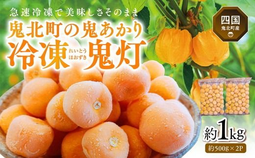 冷凍鬼あかり(ほおずき)500g×2パック[鬼灯 ホウズキ 特産品 冷凍 フルーツ ジャム 愛媛県 鬼北町]