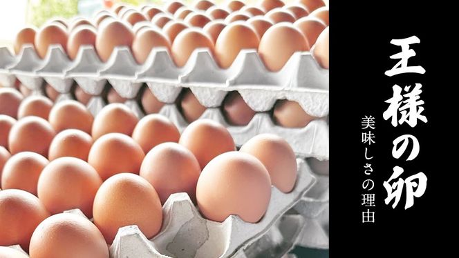 【12ヵ月 連続 定期便】王様の卵 ヨード入 20個 (15個+割れ保障5個 ) 計240個 平飼い 地鶏 有精卵 濃厚 卵 こだわり卵 たまご  頒布会 定期 [AU007us]