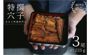 穴子 焼き穴子 3尾入 225g 蒲焼き 小分け 真空パック 厳選 特選 不揃い 小ぶり 魚貝類 魚介類 おかず 和食 魚料理 青島 冷蔵 冷蔵配送 岡山 岡山県 瀬戸内市 [№5735-3385]
